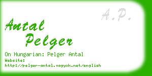 antal pelger business card